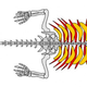 Illustration for article titled This “Transitional Turtle” is the Stuff of Creationist Nightmares